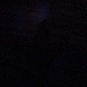 Meet your Posher, Sammy